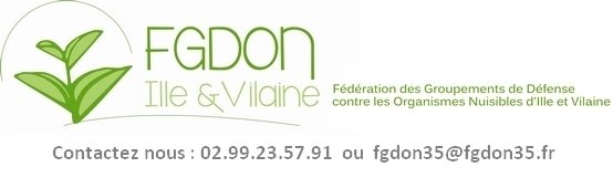 Image d'illustration